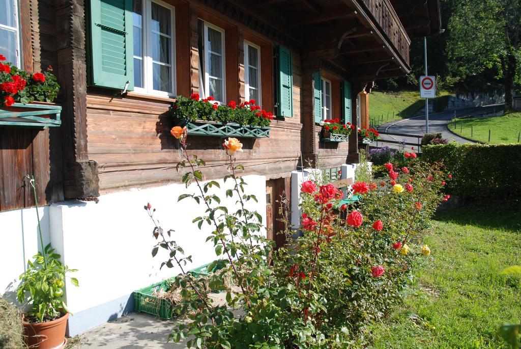 Apartament Chalet Tuftbach Grindelwald Zewnętrze zdjęcie